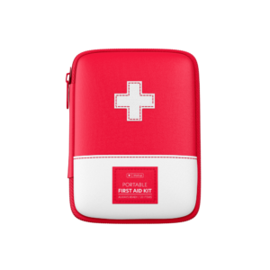 Temporibus autem quibus